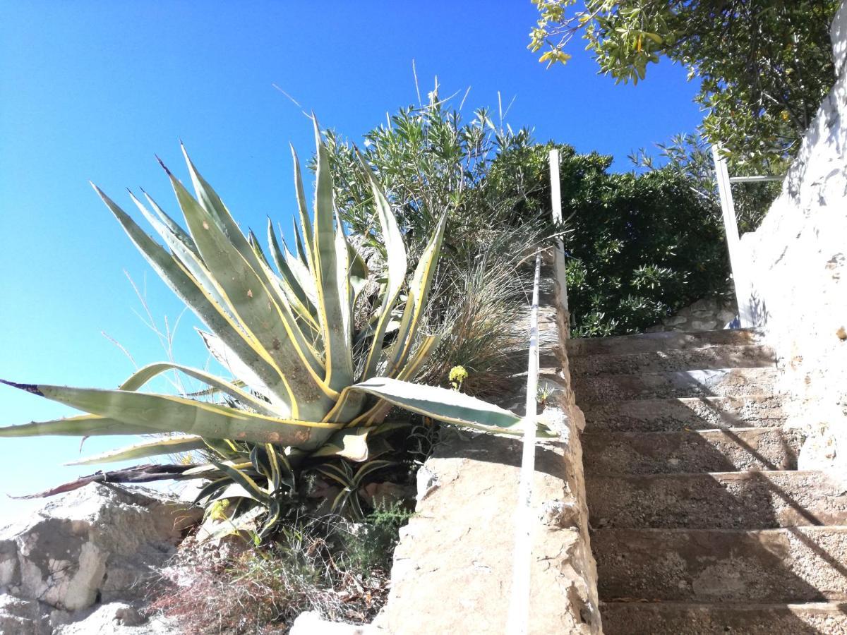 Beach House On The Cliff Zaton  Dış mekan fotoğraf