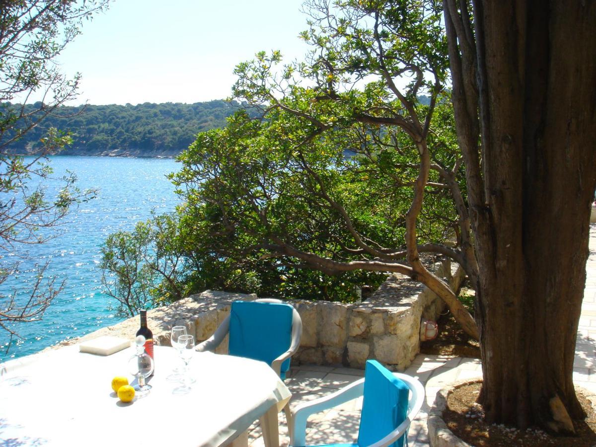Beach House On The Cliff Zaton  Dış mekan fotoğraf